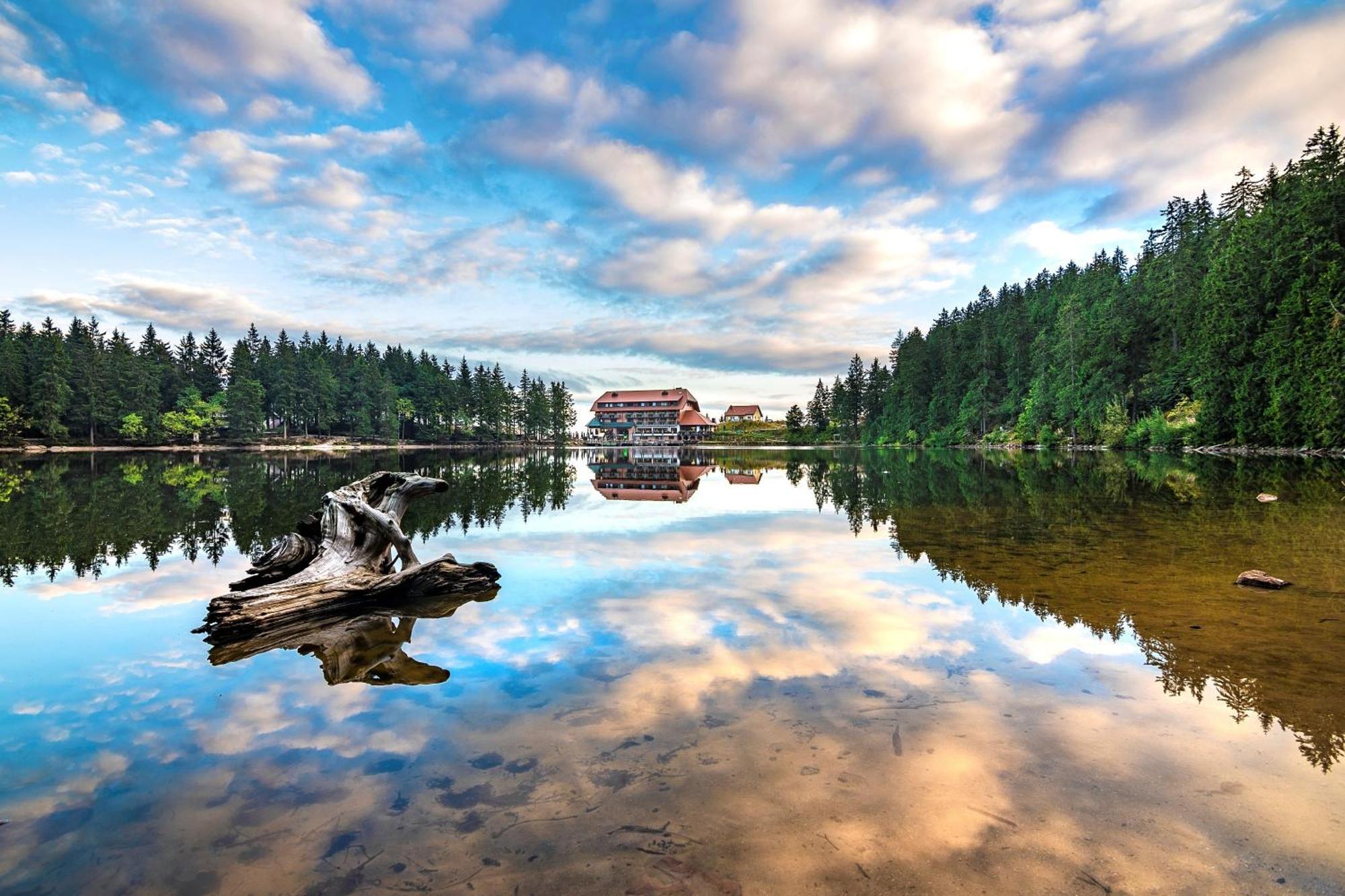 Berghotel Mummelsee Seebach Eksteriør billede